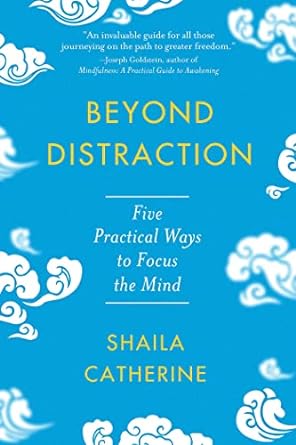 Beyond Distraction /T