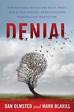 Denial : How Refusing to Face the Facts about Our Autism Epidemic Hurts Children, Families, and Our Future