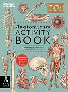 Anatomicum Activity Bk