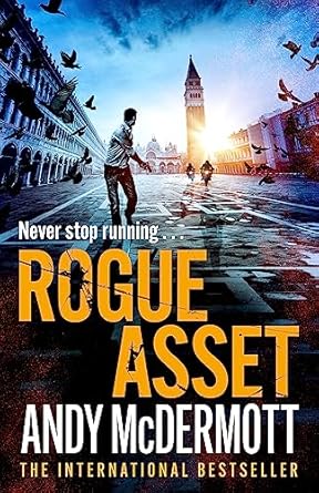 Rogue Asset