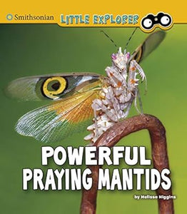 Smithsonian Littleento4D Praying Mantids