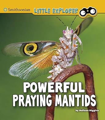 Smithsonian Littleento4D Praying Mantids