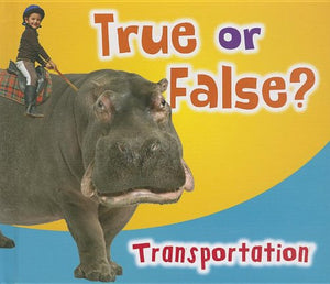 Truefalse Transportation