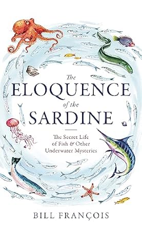 Eloquence Of Sardine (Exp)/T