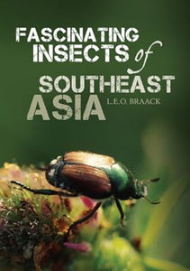 Fascinating Insects Of Southeast Asia