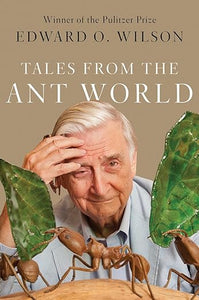 Tales From The Ant World