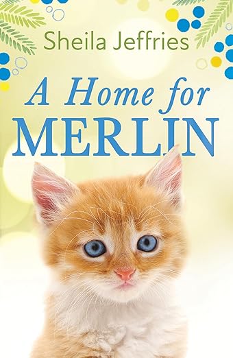 Home For Merlin