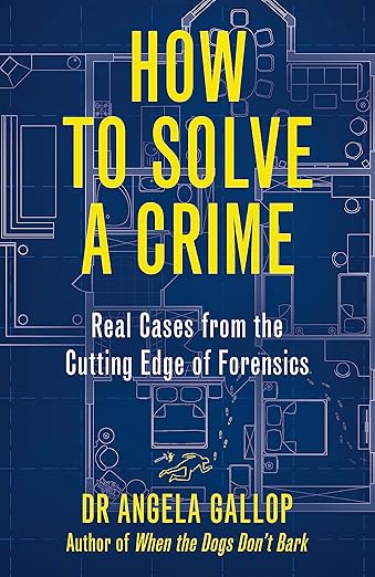 How To Solve A Crime (Exp)/T