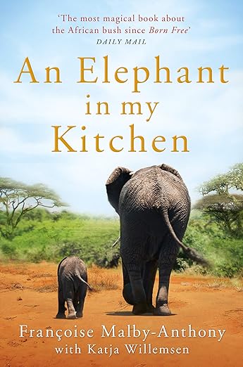 Elephant In My Kitchen