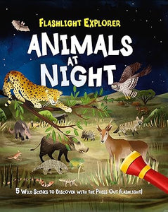 Flashlight Explorers: Animals At Night