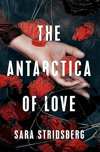 Antarctica Of Love