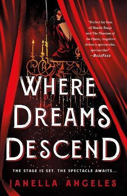 Where Dreams Descend : A Novel