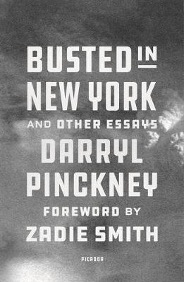 Busted in New York and Other Essays