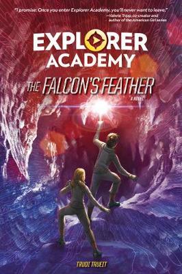 Exploreraca02 Falcon'S Feather - BookMarket