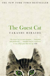 Guest Cat /Bp - BookMarket