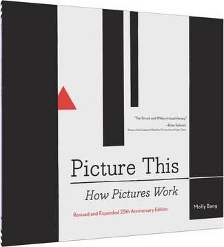 Picture This: How Pictures Work