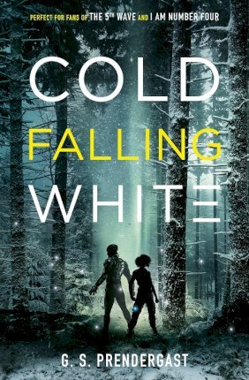 Cold Falling White - BookMarket