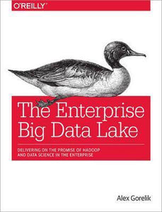 Enterprise Big Data Lake