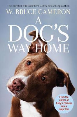 A Dog's Way Home : The Heartwarming Story of the Special Bond Between Man and Dog - BookMarket