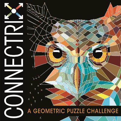 Connectrix : A Geometric Puzzle Challenge