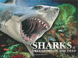 Sharks & Predators of the Deep