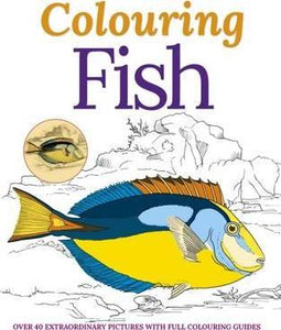 The Calm Colouring Book