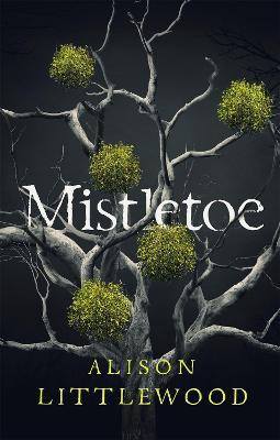 Mistletoe : 'The perfect read for frosty nights' HEAT