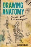 Drawing Anatomy : An Artist's Guide to the Human Figure - BookMarket