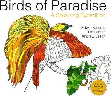 Birds Of Paradise: Colouring /T - BookMarket