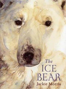 The Ice Bear